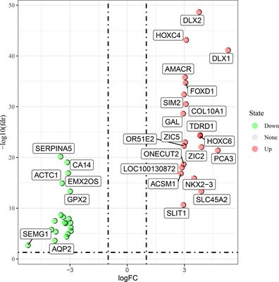 Luteolin Potentially Treating Prostate Cancer and COVID-19 Analyzed by the Bioinformatics Approach: Clinical Findings and Drug Targets